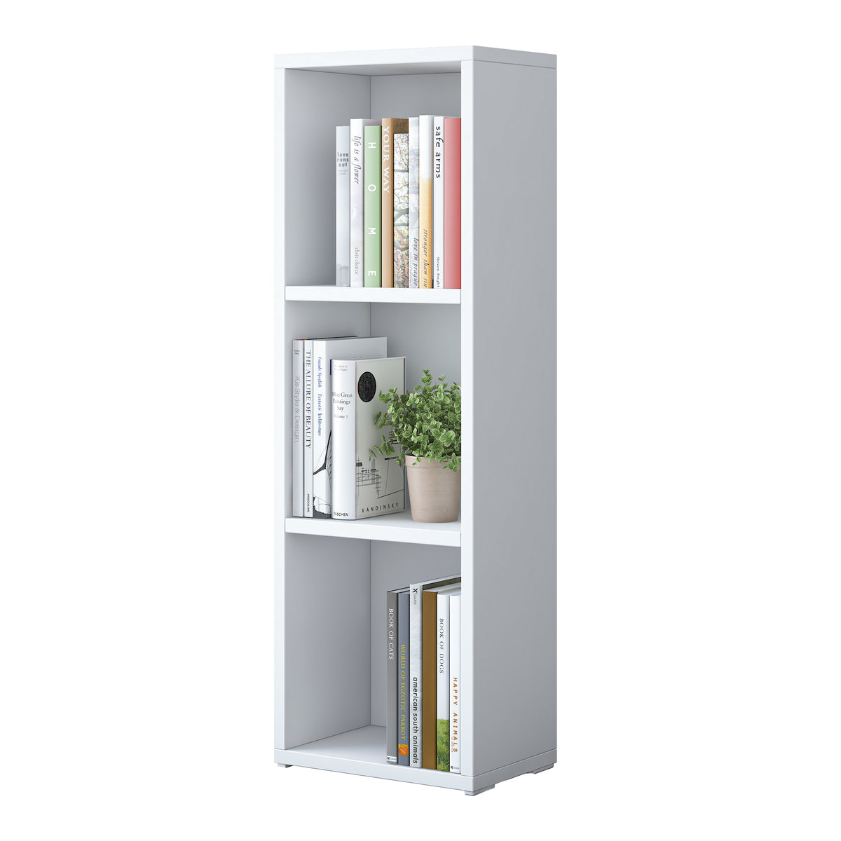 Rani HC119 Kitaplık 2 Raflı Çalışma Odası Kütüphane Modern Duvar Rafı Beyaz