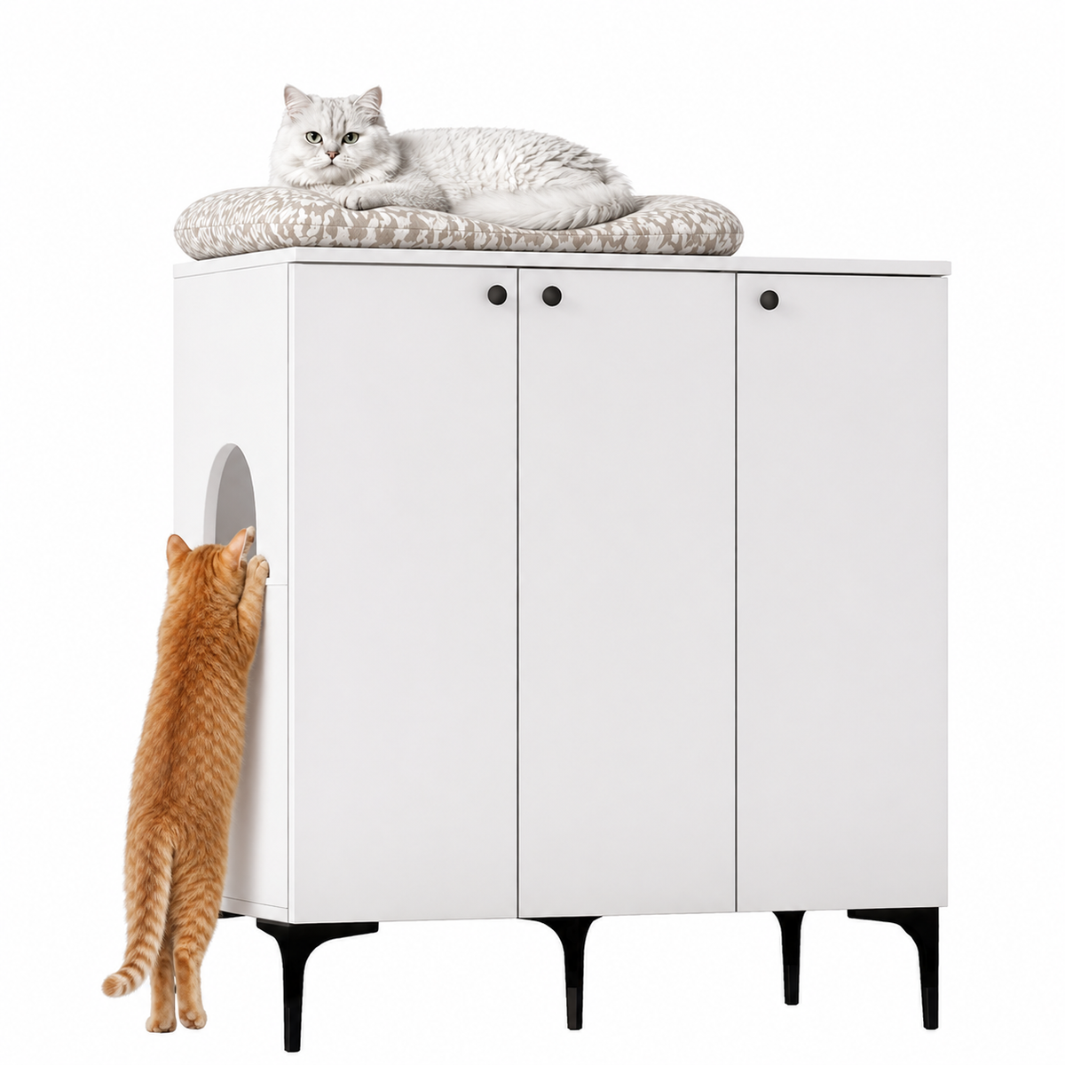 Rani PA102 Kedi Mobilyası Çok Amaçlı Dolap Gizli Kedi Tuvalet Dolabı Kedi Evi Beyaz