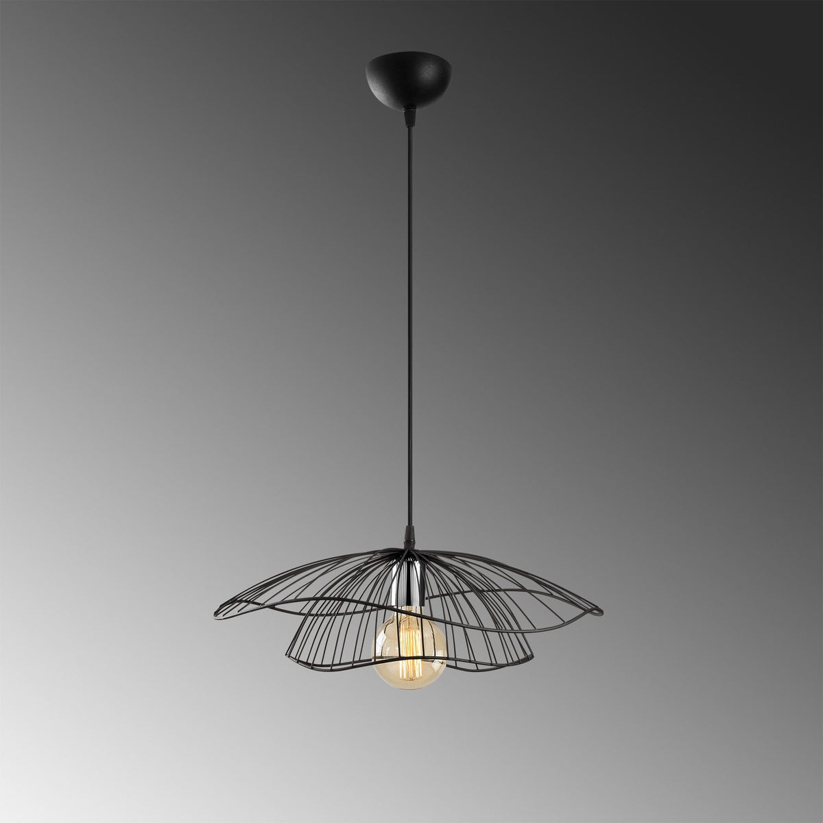 Rani Home Avize Siyah  AA-5951