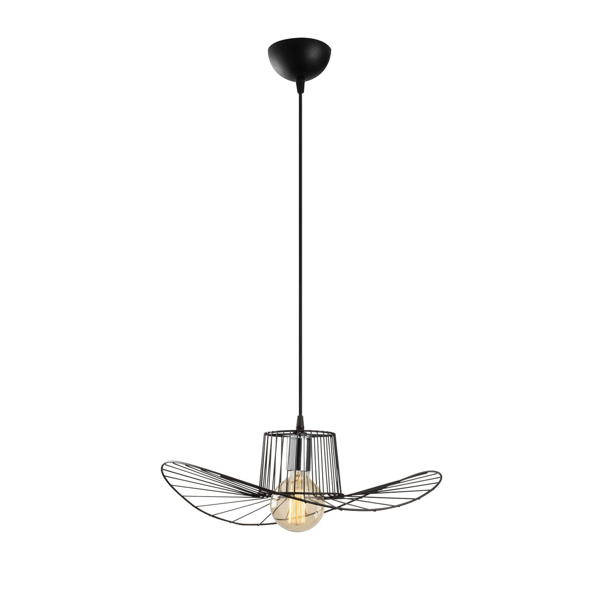 Rani Home Avize Siyah  AA-6078