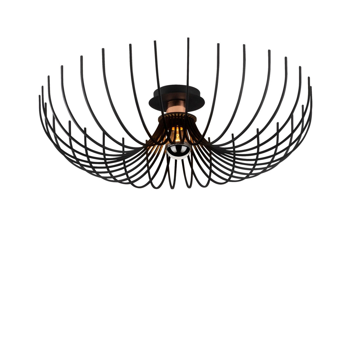Rani Home Avize Siyah  AA-6027