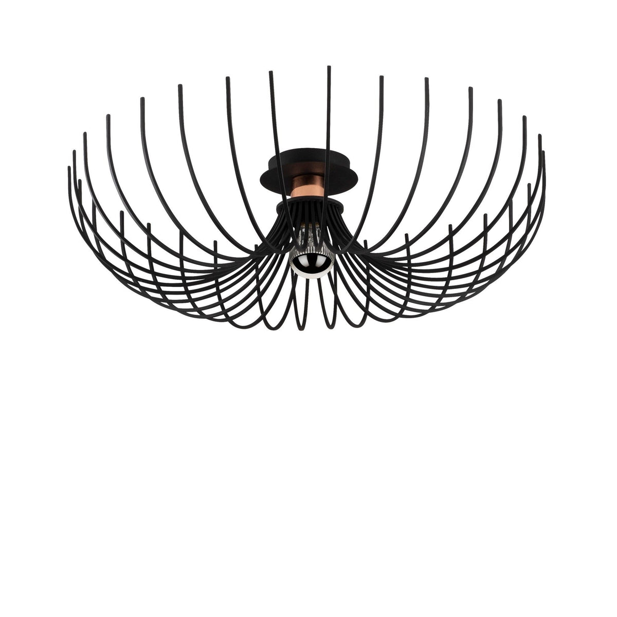 Rani Home Avize Siyah  AA-6027