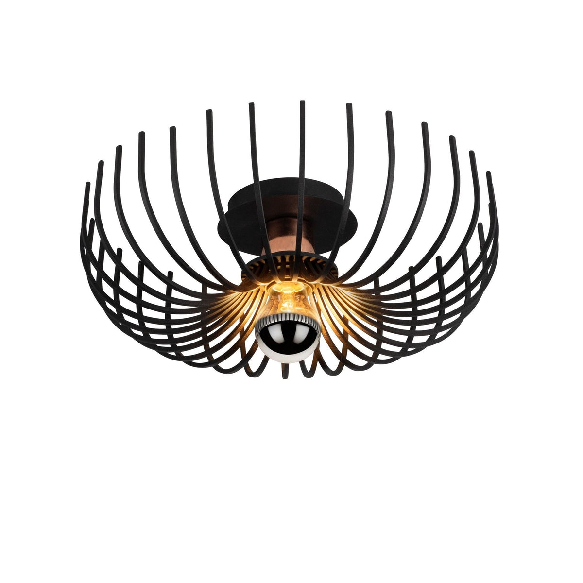 Rani Home Avize Siyah  AA-6010