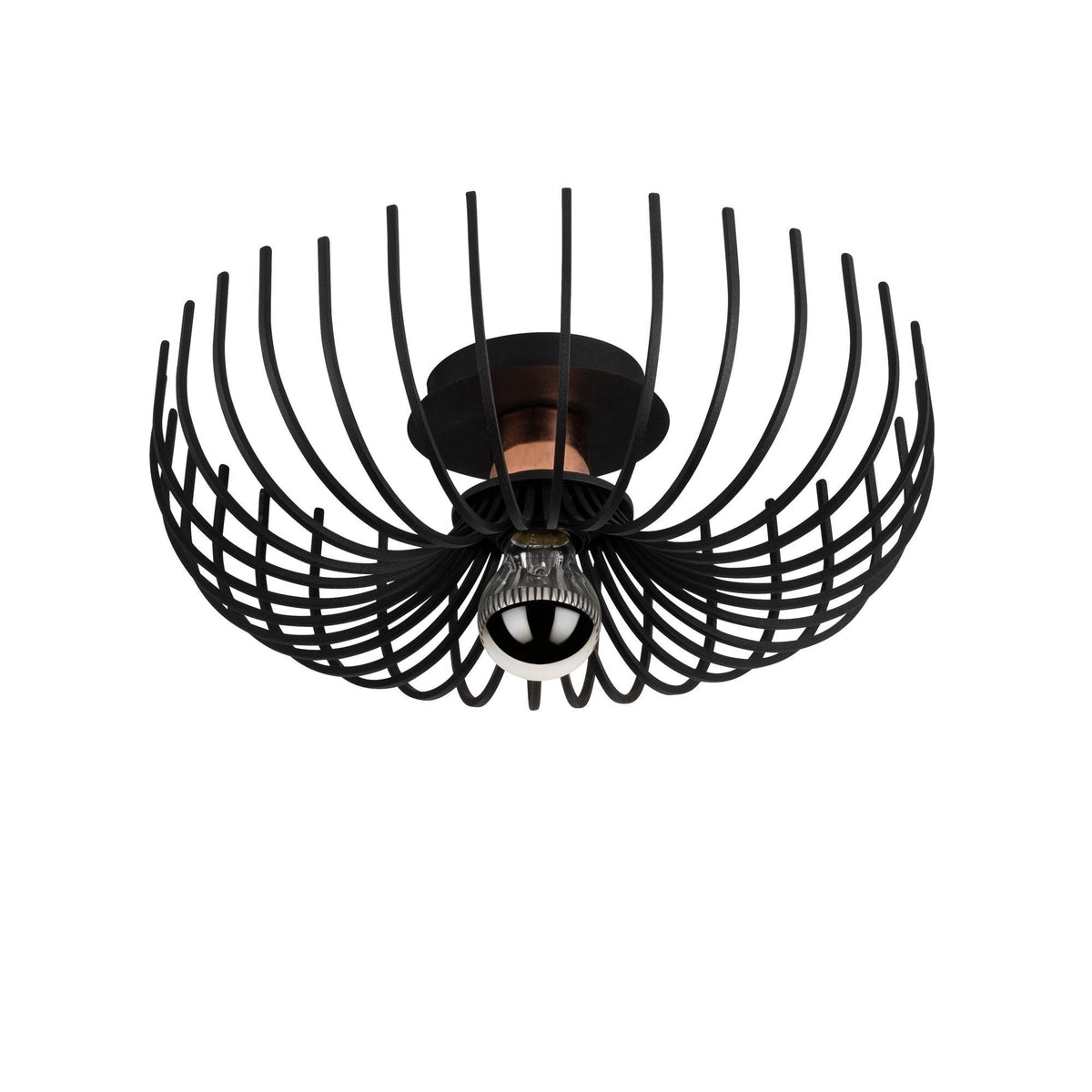 Rani Home Avize Siyah  AA-6010