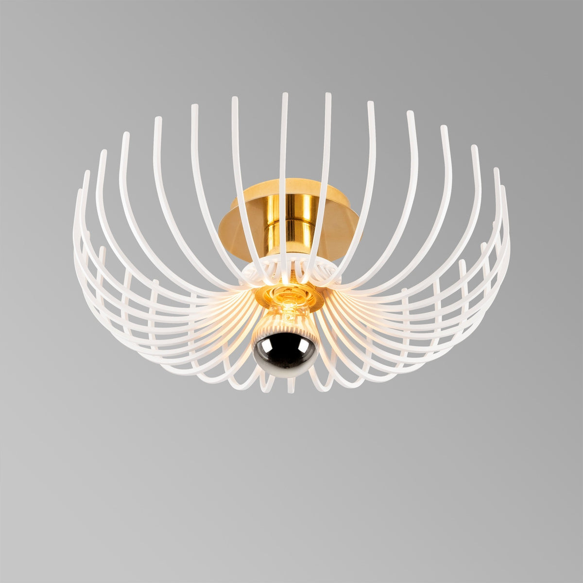 Rani Home Avize Beyaz  AA-6006