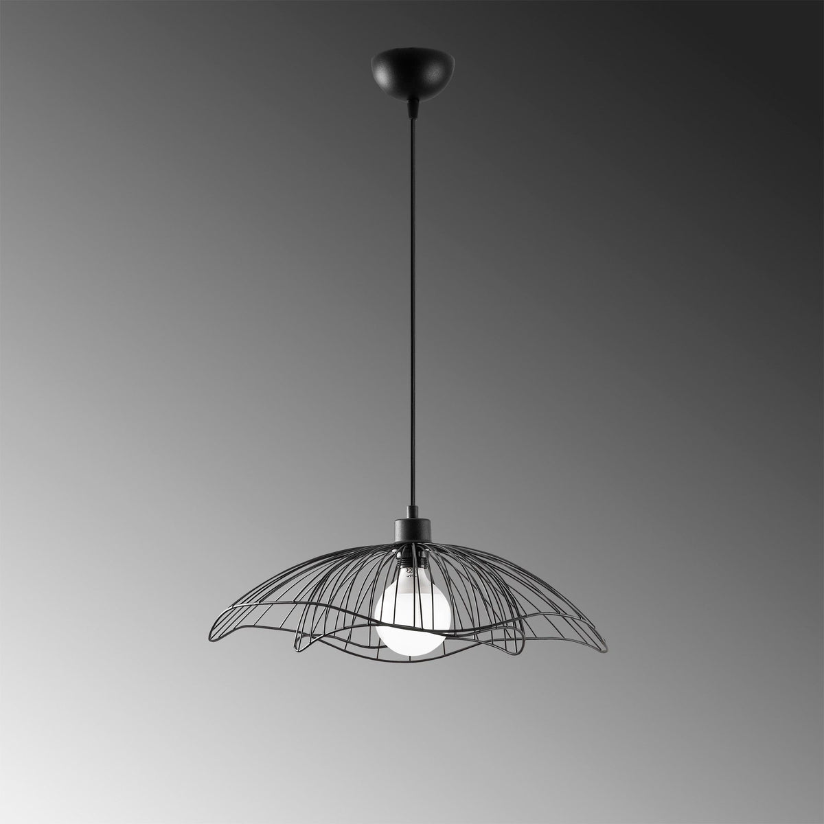 Rani Home Avize Siyah  AA-6034