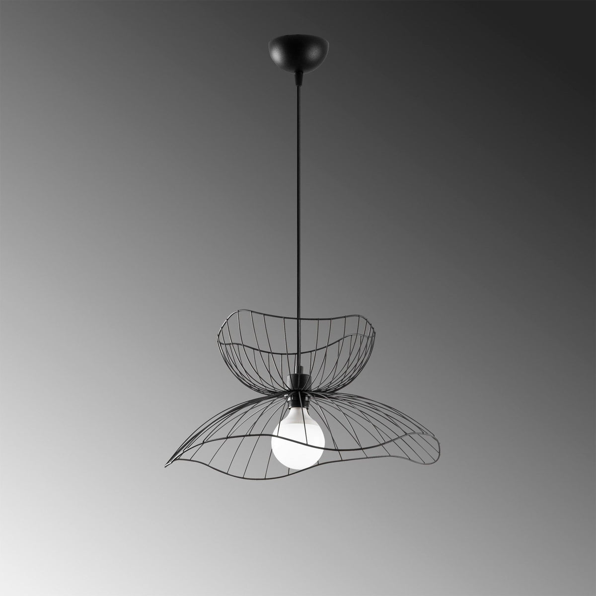 Rani Home Avize Siyah  AA-6034