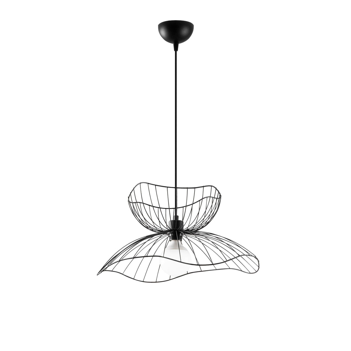 Rani Home Avize Siyah  AA-6067