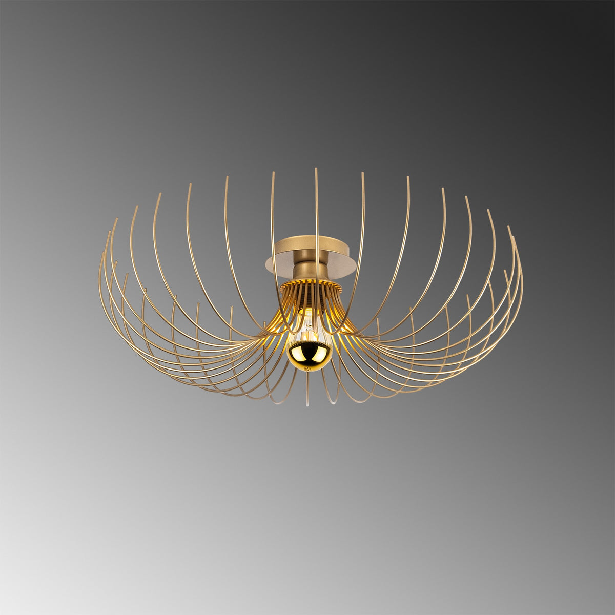 Rani Home Avize Altın  AA-5974