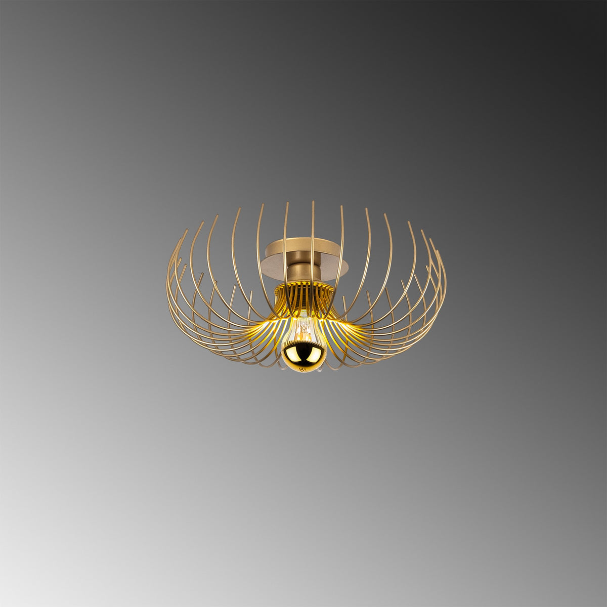 Rani Home Avize Altın  AA-5962