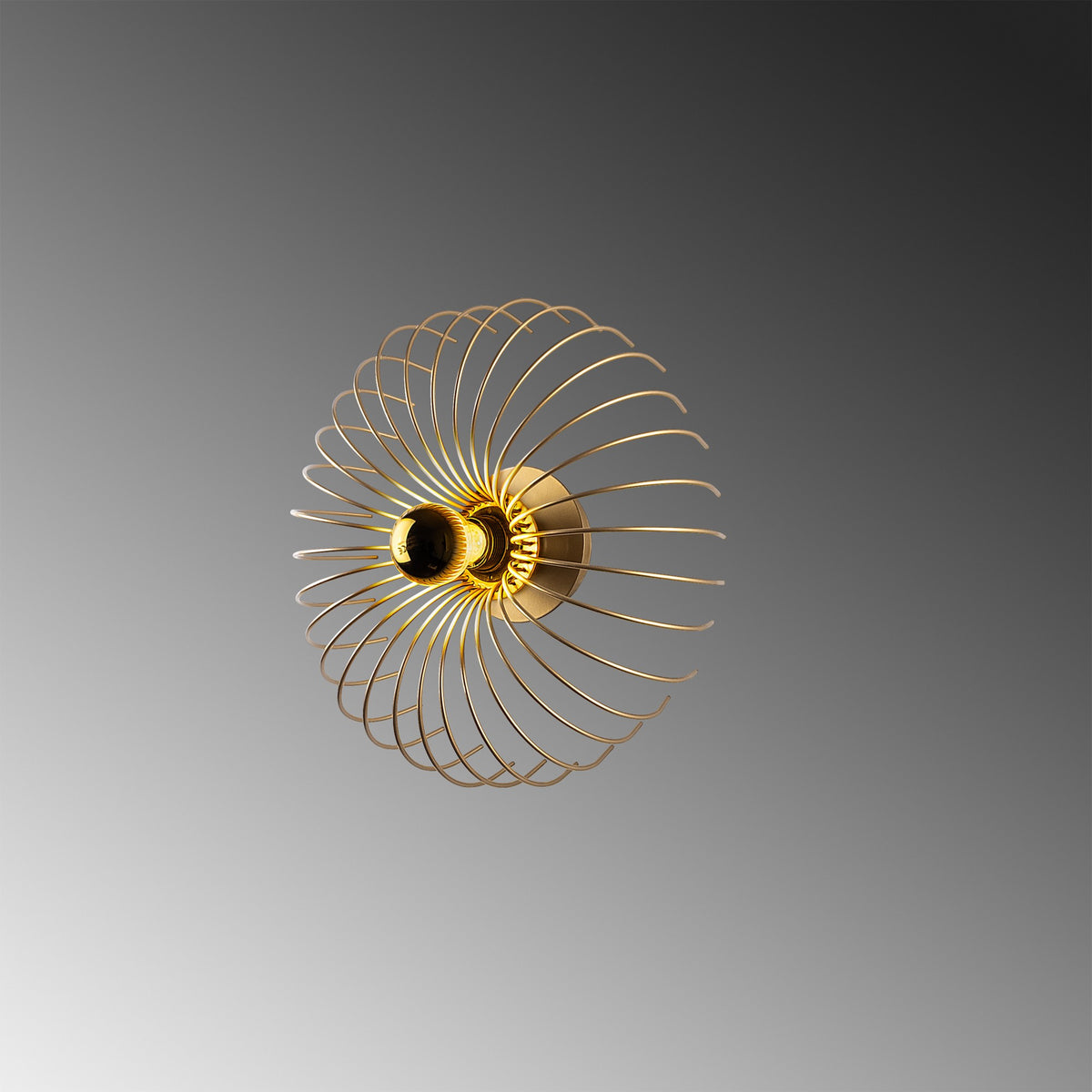 Rani Home Duvar Lambası Altın EA-5993