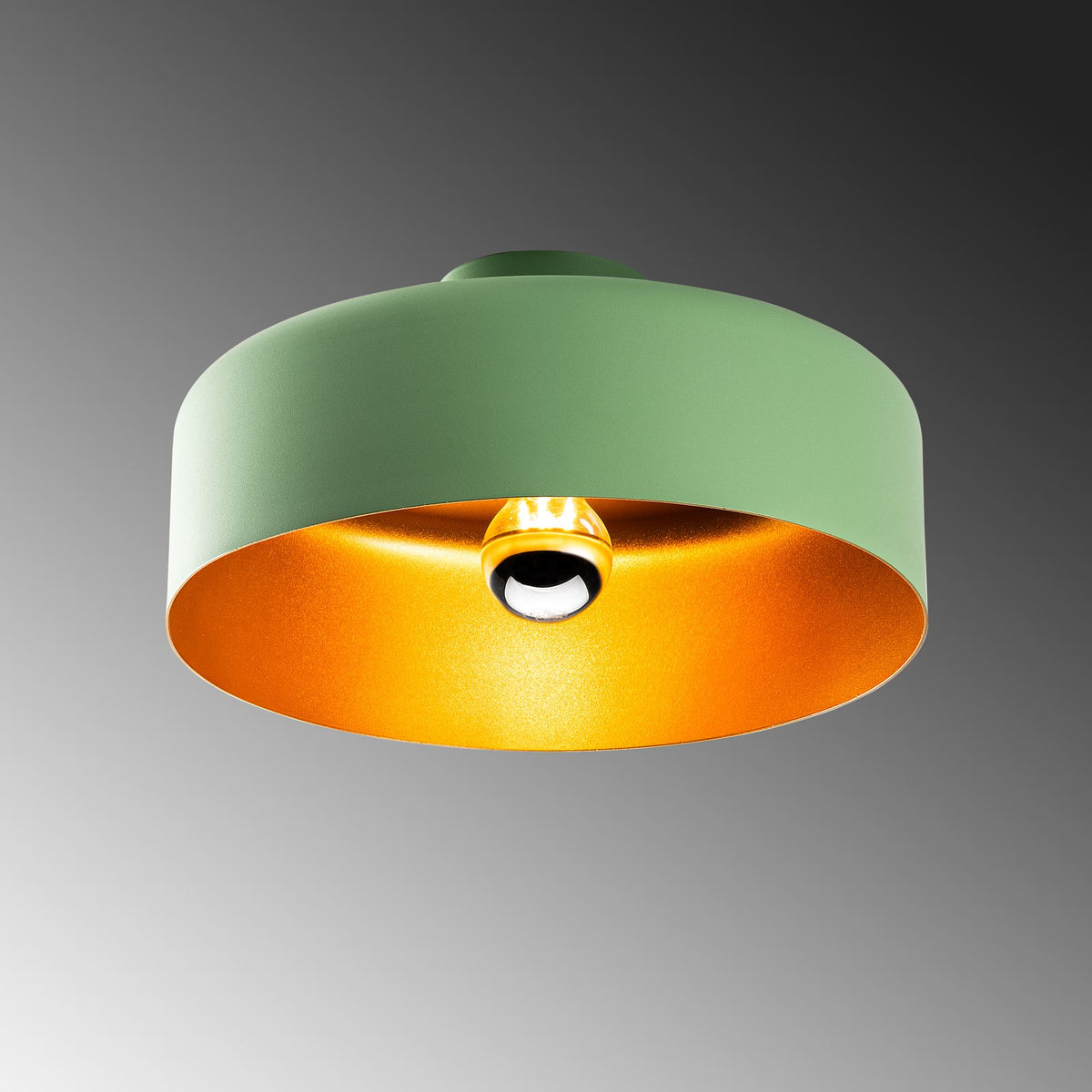 Rani Home Avize Yeşil  AA-6002