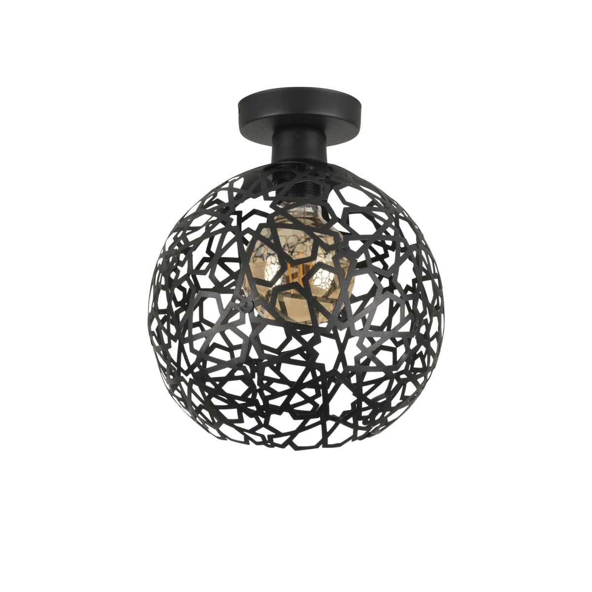 Rani Home Avize Siyah  AA-6008
