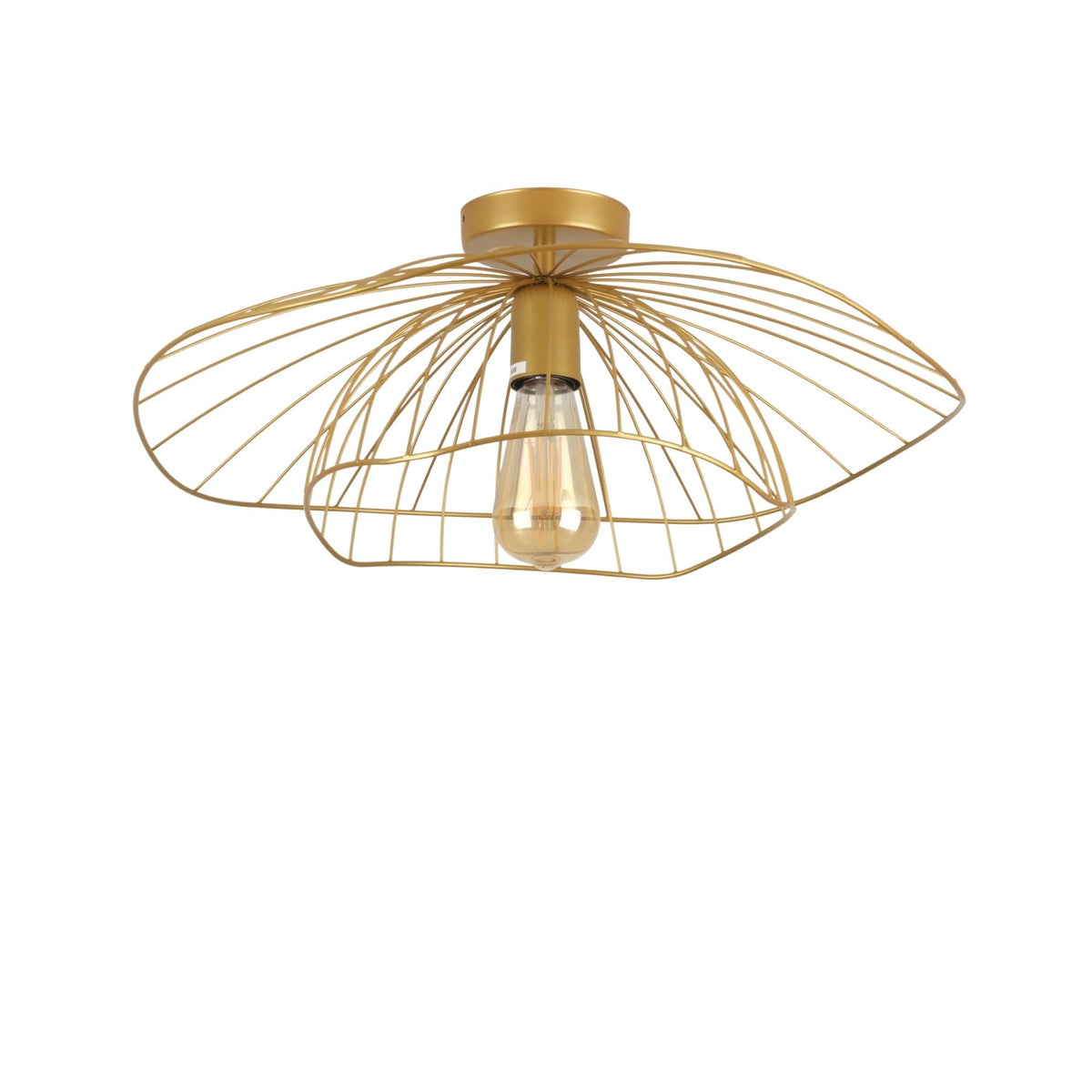 Rani Home Avize Altın  AA-5948